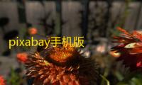 pixabay手机版 人气热度：30℃